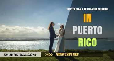 Destination Wedding Dreams: Planning Your Puerto Rico Celebration