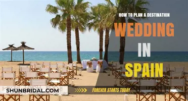 Destination Wedding Dreams: Planning Your Spanish Celebration