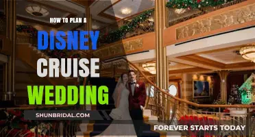 Magical Disney Cruise Wedding: Planning Tips for a Dreamy Celebration