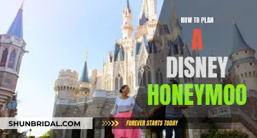 Romantic Getaway: Planning the Perfect Disney Honeymoon Adventure