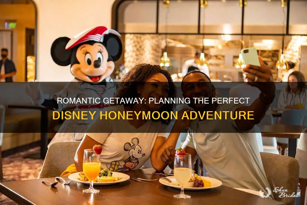 how to plan a disney honeymoon