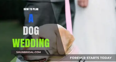 Paw-some Celebration: A Guide to Planning the Ultimate Dog Wedding