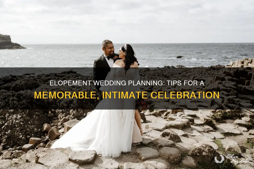 how to plan a elope wedding