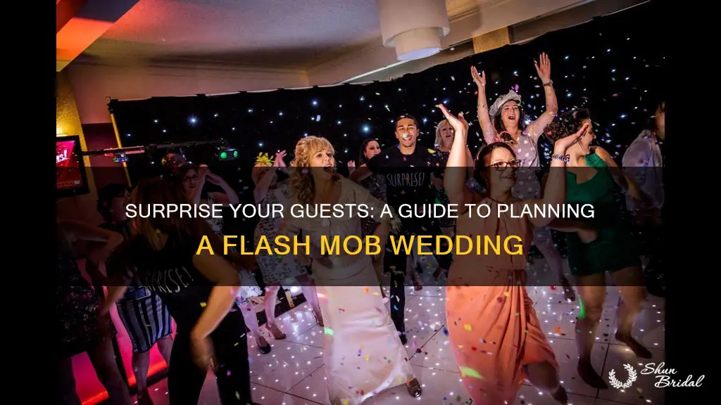 how to plan a flash mob wedding