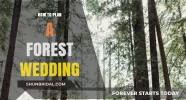 Enchanted Forest Wedding: A Guide to Planning Your Magical Celebration