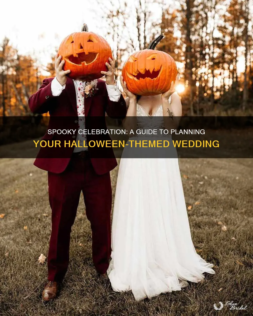 how to plan a halloween themed wedding