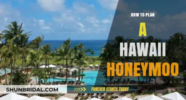 Planning Your Dream Hawaii Honeymoon: Tips for an Unforgettable Escape