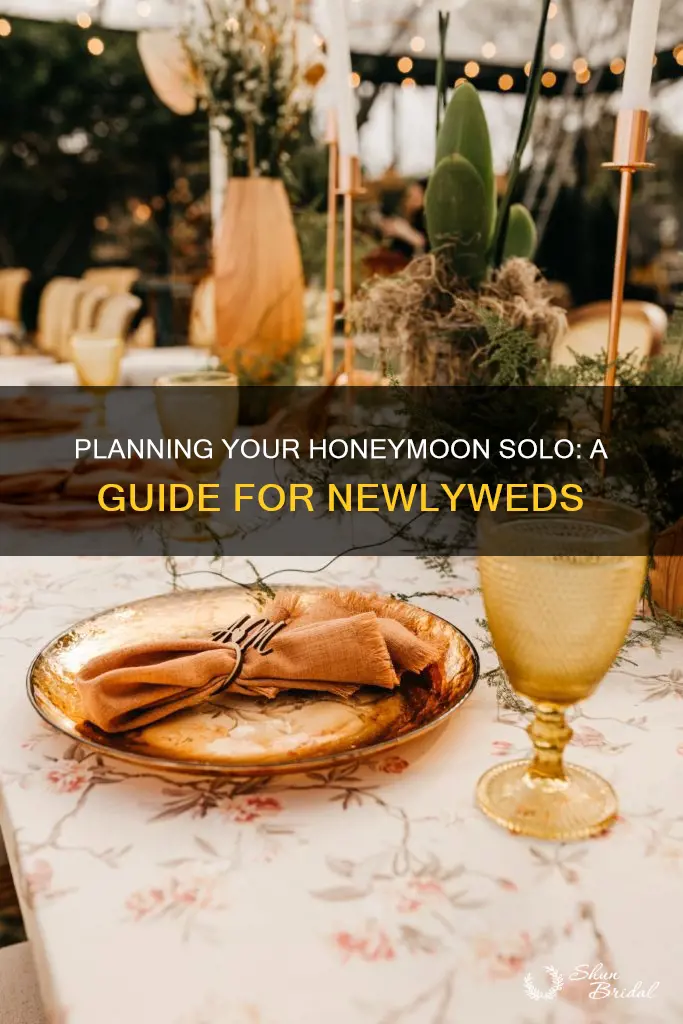 how to plan a honeymoon by yourself