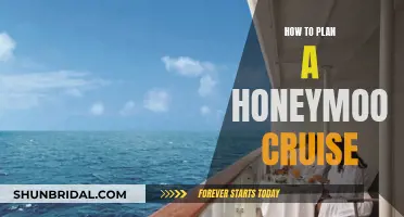 Honeymoon Cruise: Planning Tips for the Perfect Adventure