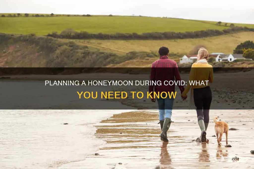 how to plan a honeymoon during covid