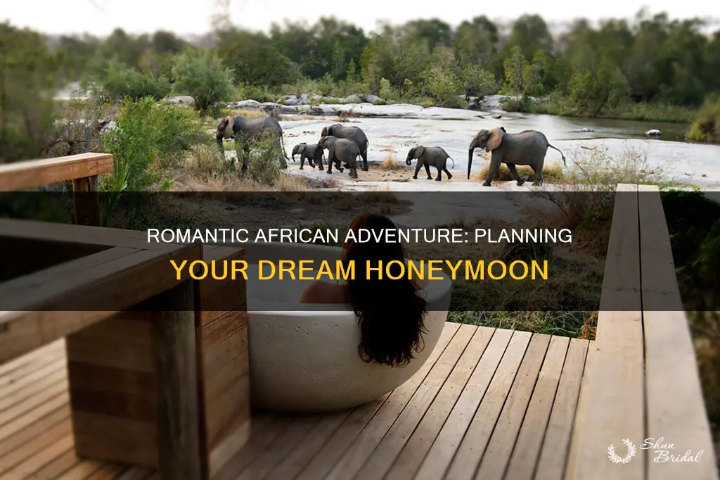 how to plan a honeymoon in africa