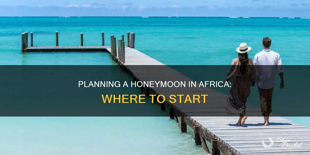 how to plan a honeymoon in africa