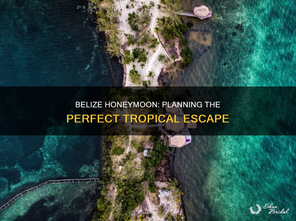 how to plan a honeymoon in belize