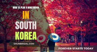 Plan Your Dream Honeymoon in South Korea