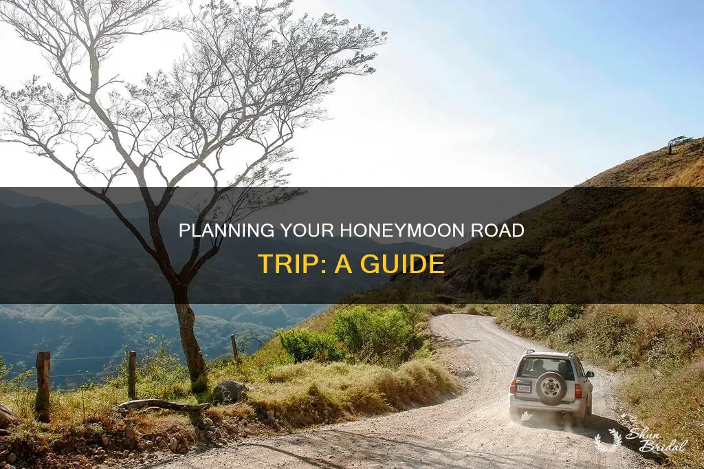 how to plan a honeymoon road trip