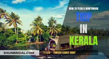 Honeymoon in Kerala: A Guide to Creating Unforgettable Memories