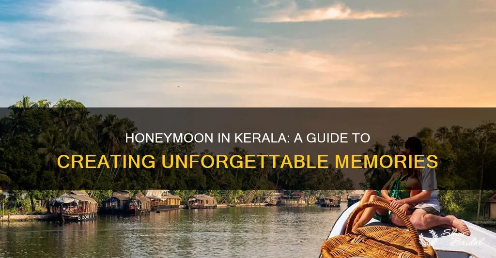 how to plan a honeymoon trip in kerala