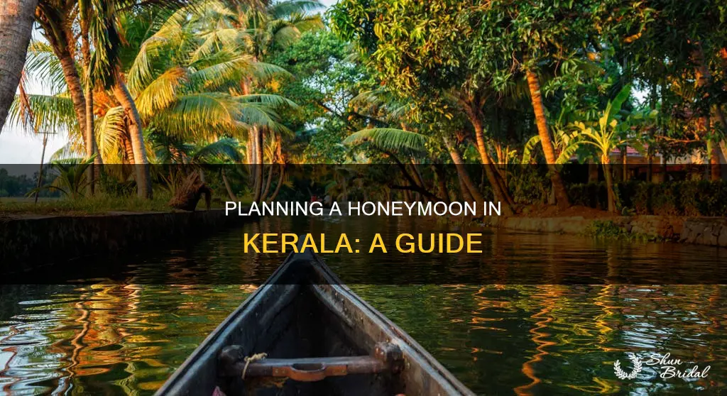 how to plan a honeymoon trip in kerala