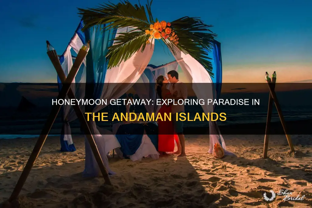 how to plan a honeymoon trip to andaman