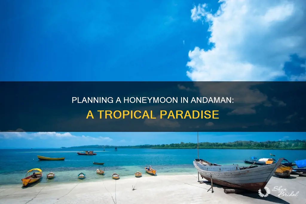 how to plan a honeymoon trip to andaman