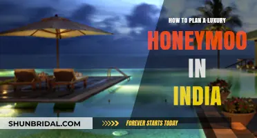 Crafting Your Dream: A Guide to Planning a Luxury Indian Honeymoon