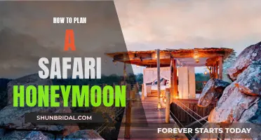 Romantic Adventure: Planning the Ultimate Safari Honeymoon Getaway