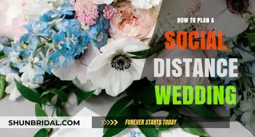 Celebrating Love: A Guide to Planning a Socially Distant Wedding