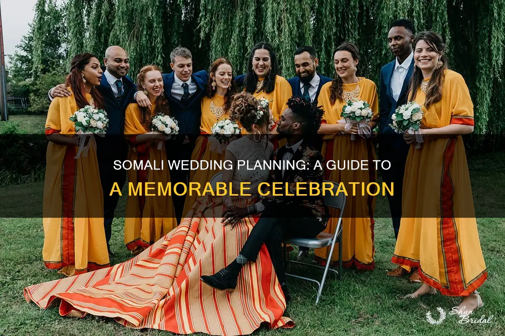 how to plan a somali wedding