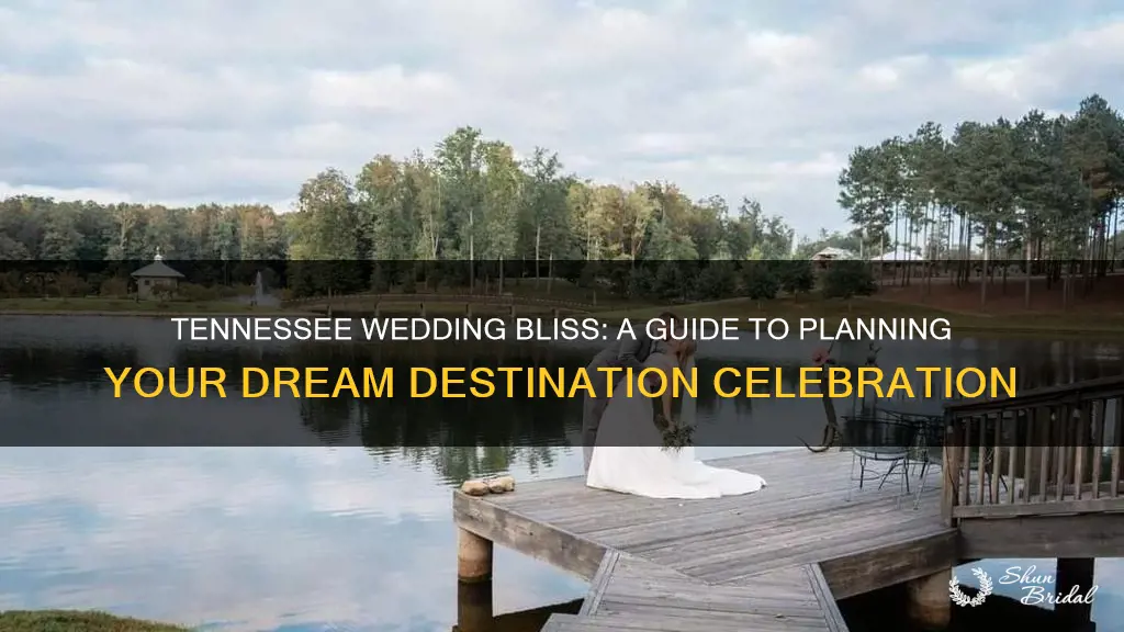 how to plan a tennessee destination wedding