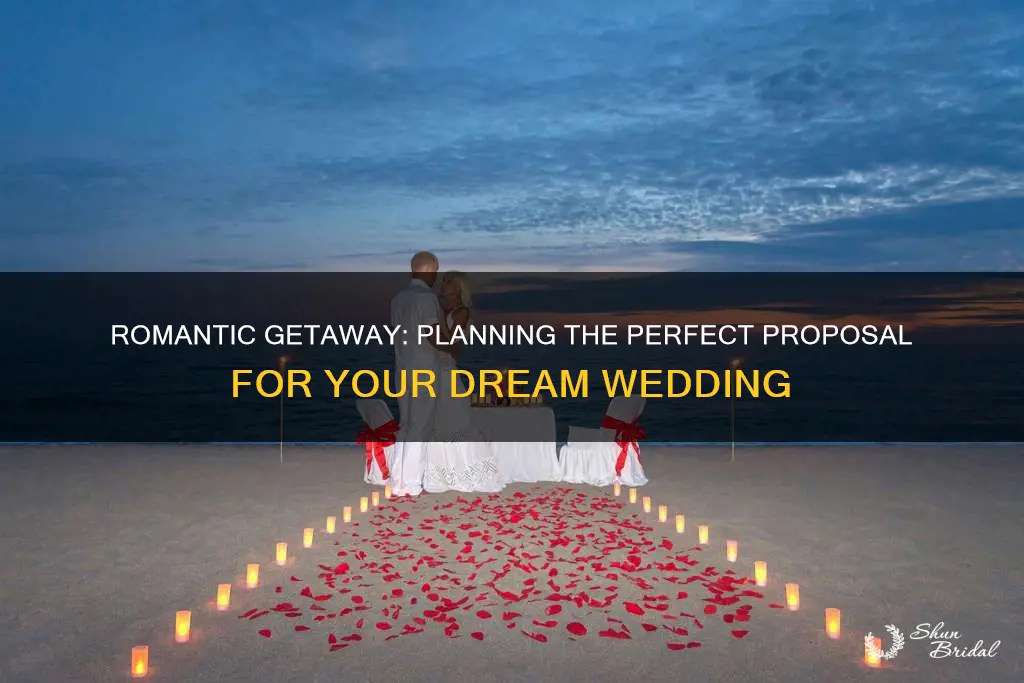 how to plan a vacation wedding proposal