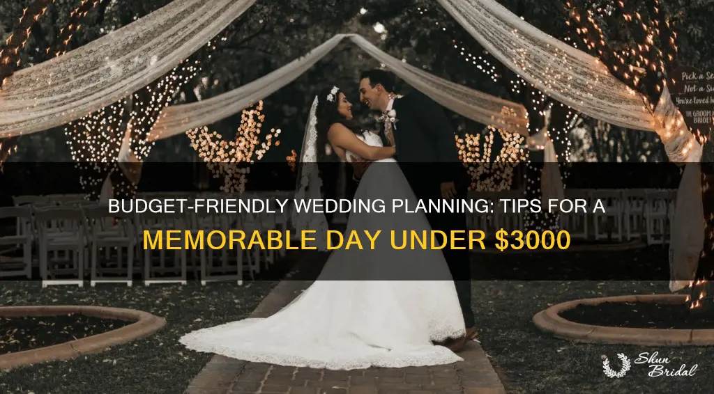 how to plan a wedding for under 3000