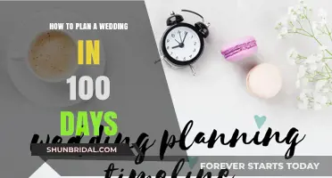 100 Days to the Big Day: Your Ultimate Wedding Planning Guide