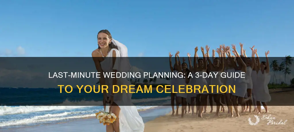 how to plan a wedding in 3 days