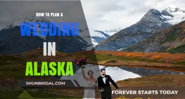 Winter Wonderland: Your Ultimate Guide to Planning an Alaskan Wedding