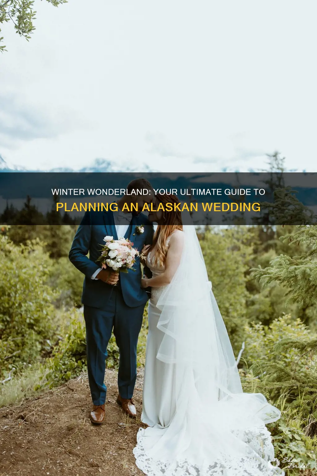 how to plan a wedding in alaska