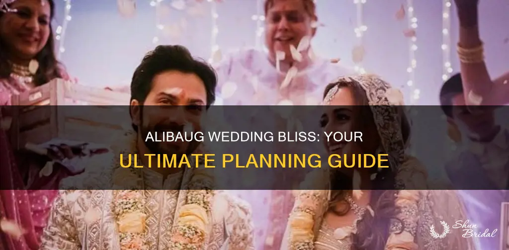 how to plan a wedding in alibaug