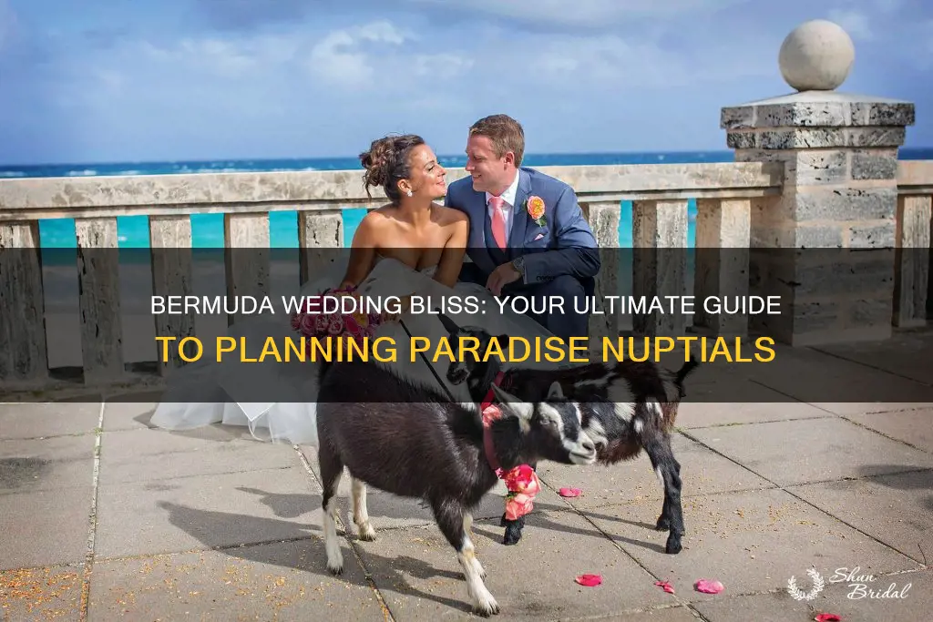 how to plan a wedding in bermuda