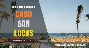 Cabo San Lucas Wedding Planning: A Step-by-Step Guide to Your Dream Celebration