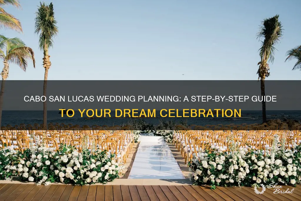 how to plan a wedding in cabo san lucas