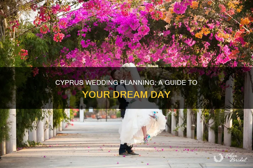 how to plan a wedding in cyprus