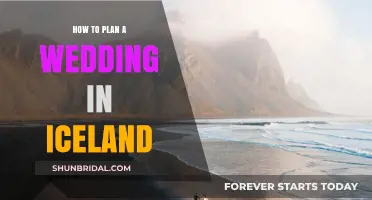 Icelandic Adventure: Your Ultimate Guide to Planning a Dream Wedding