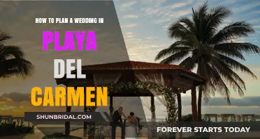 A Guide to Planning Your Dream Wedding in Play del Carmen