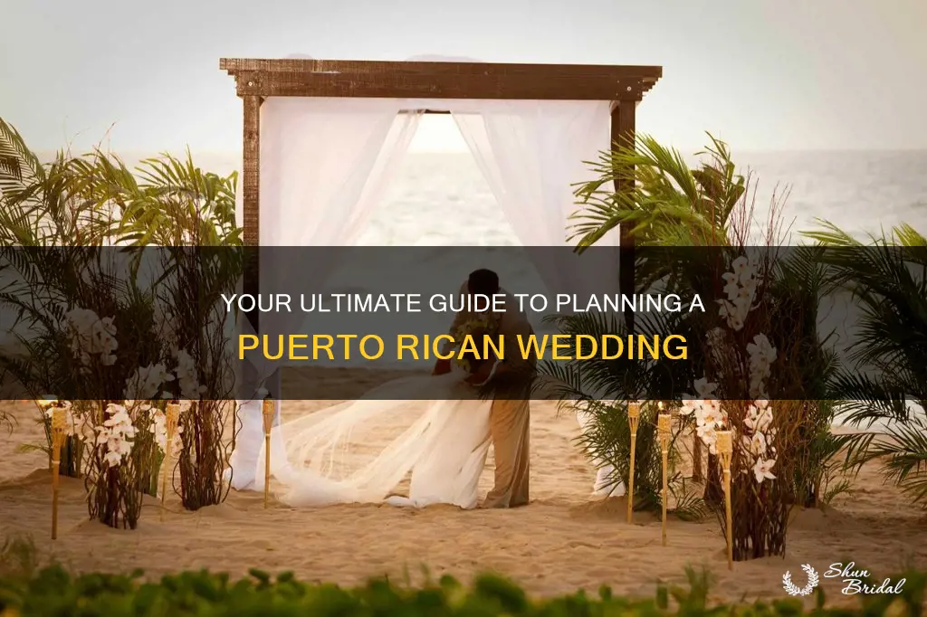 how to plan a wedding in puerto rico