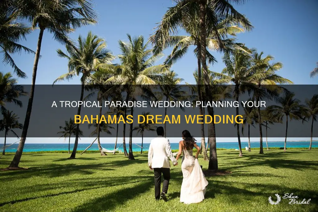 how to plan a wedding in the bahamas