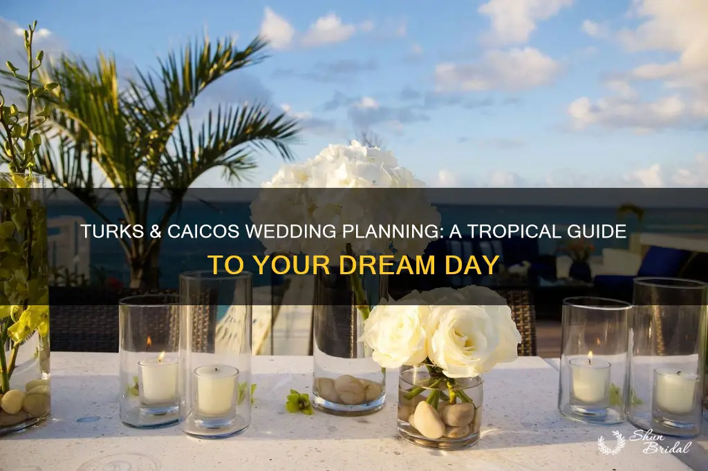 how to plan a wedding in turks and caicos