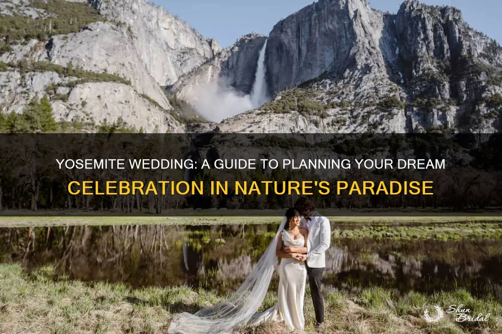 how to plan a wedding in yosemite