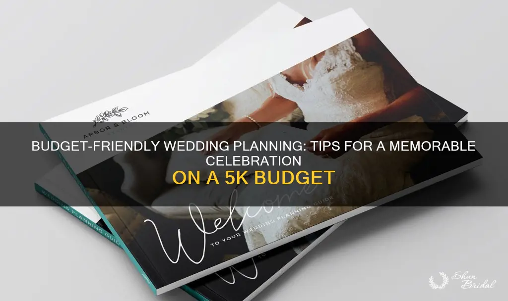 how to plan a wedding on 5k book