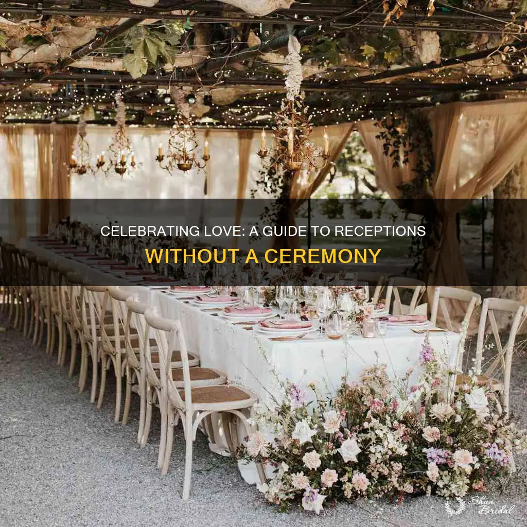 how to plan a wedding reception without a ceremony