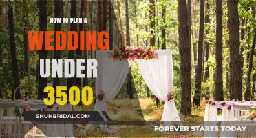 The Ultimate Guide to Planning Your Dream Wedding on a Budget: Tips for Under $3500