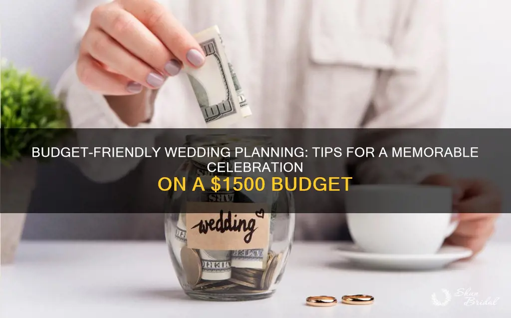 how to plan a wedding with 1500 dollars